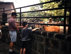 Andy McDougal; Ben Dorrough; Budapest Hungary; Family Trips Zoo